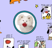 Pouty Pooch Playthings Image 7
