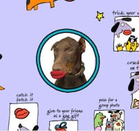 Pouty Pooch Playthings Image 8