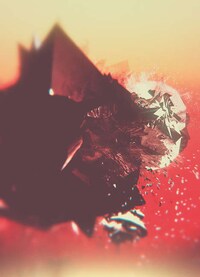 Frail Fragmented Illustrations Image 3