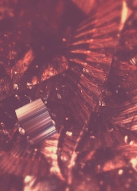 Frail Fragmented Illustrations Image 4