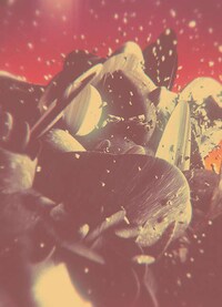 Frail Fragmented Illustrations Image 6