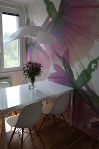 Charming Illustrated Walls Image 5