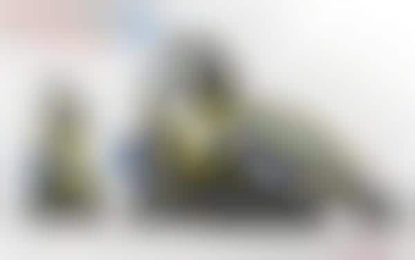 Buggy Construction Equipment