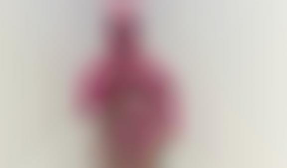 Secret Identity Handbooks