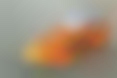 Funky Fruity Footwear