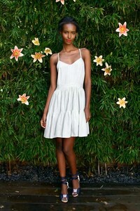 Blended Background Botanical Shoots Image 5