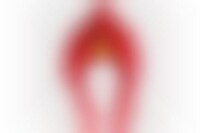 Fiery Avian Winter Gear Image 1