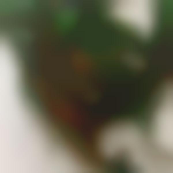 100 Examples of Recycled Art & Design