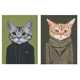 Cute Kitty-Clothed Portraits Image 4