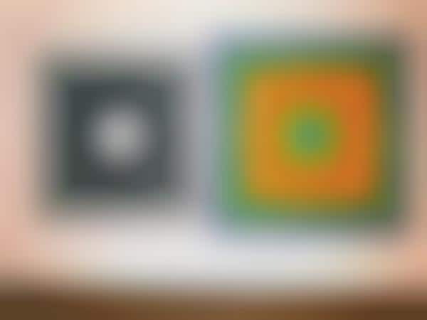 Optical Illusion Exhibits