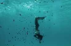 Peaceful Marine Photography