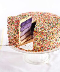 Radiant Rainbow Sprinkle Cakes Image 4