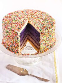 Radiant Rainbow Sprinkle Cakes Image 7