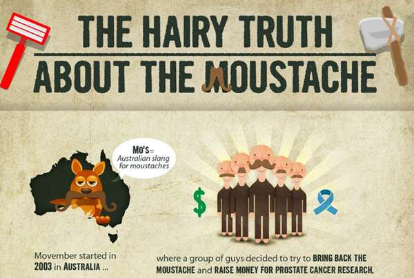 Witty Whisker Infographics
