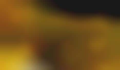 Pond Diving Food Ads