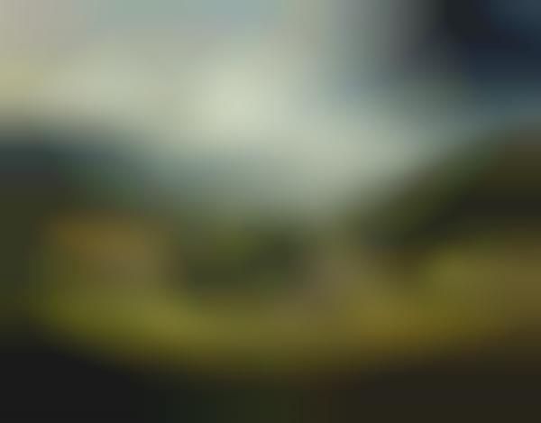 Scenic Landscape Captures
