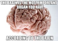 Irritating Mind Image Macros Image 6