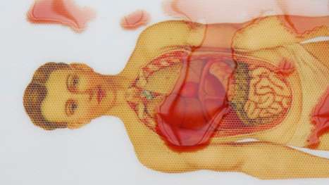Anatomical Chopping Appliances