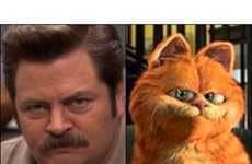 25 Comedic Cat Blogs