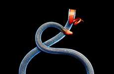 Slithering Snake Portraits