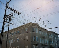 Unassuming Street Captures Image 6