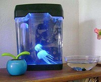 Plastic Marine Animal Playthings Image 4