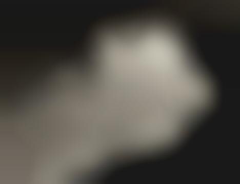 Explosive Seaside Shoots