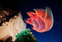 Threaded Neon Installations Image 8