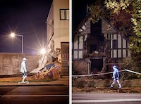 Holographic Horseplay Pictures Image 3