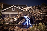 Holographic Horseplay Pictures Image 4