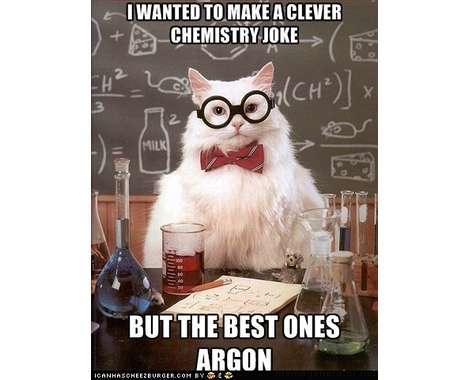 14 Hilarious Feline Memes