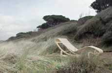 Revitalized Hollow Loungers