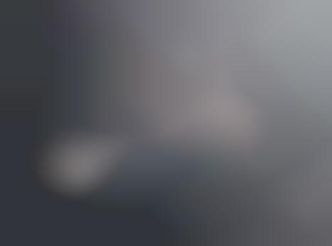 Fiercely Foggy Photography