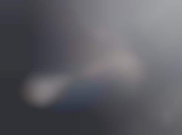 Fiercely Foggy Photography