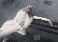 Fiercely Foggy Photography Image 4