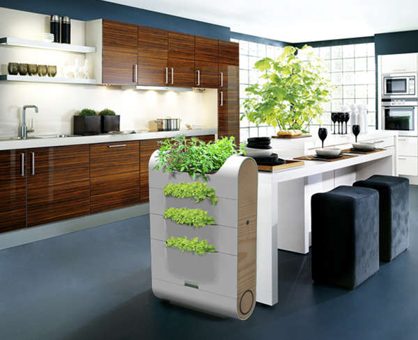 Plantable Compost Bins