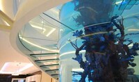 Cantilevered Transparent Staircases Image 6