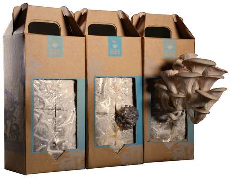 Grow-At-Home Fungus Kit