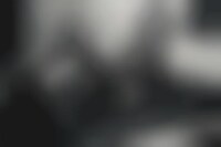 Imprisoned Armor Shoots Image 1