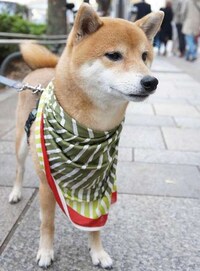 Scarf Styling Sessions Image 4