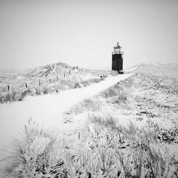 Winter Wonderland Photography