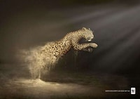 Disintegrating Animal Advertising Image 2