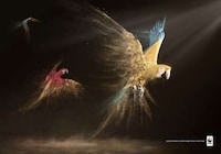 Disintegrating Animal Advertising Image 3