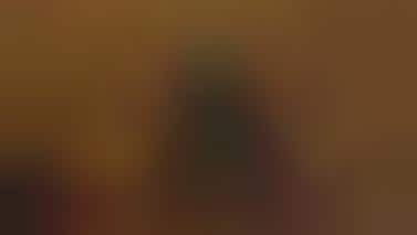 $2 Million Christmas Trees