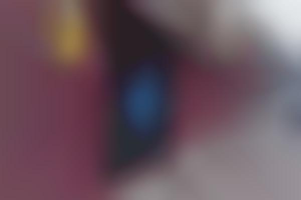 Felon Fence Art (UPDATE)