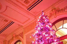 Fashionable Fuchsia Arbores