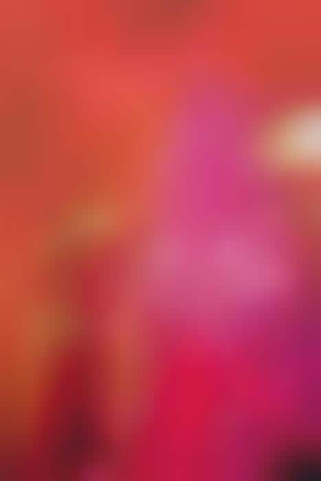 Fashionable Fuchsia Arbores