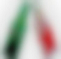 Crowdsourcing Design Duos Image 1