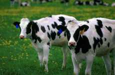 Customized Beef Services