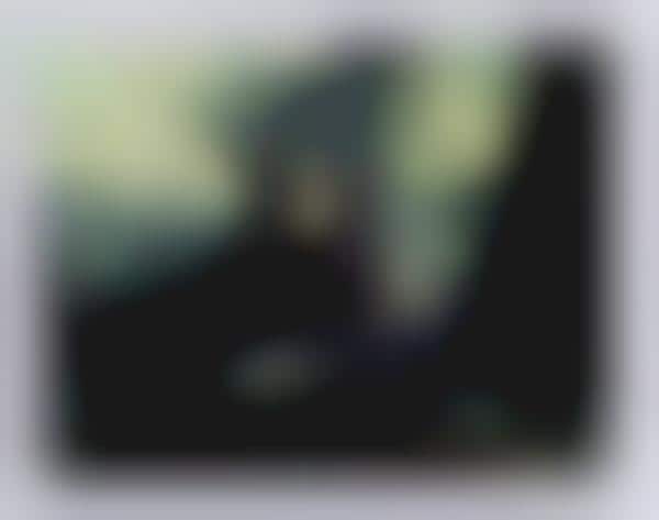 Vintage Wild Polaroids